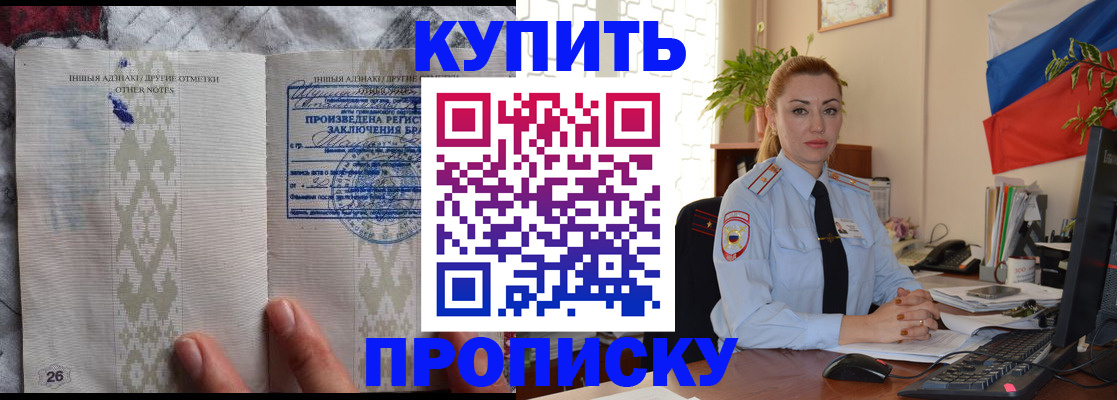 прописка поиск в Зеленогорске